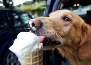 Helado